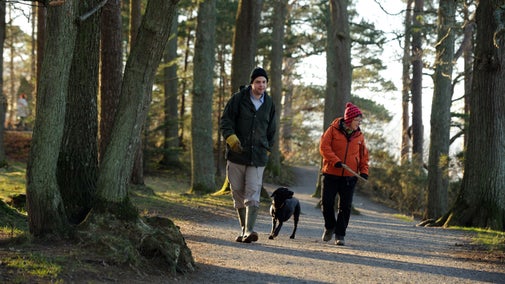 Two visitors enjoy a woodland walk with their dog in Borrowdale in the northern Lake District